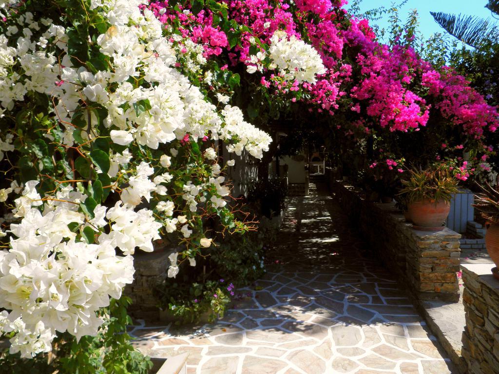 Dimitra Studios Kastrákion 部屋 写真